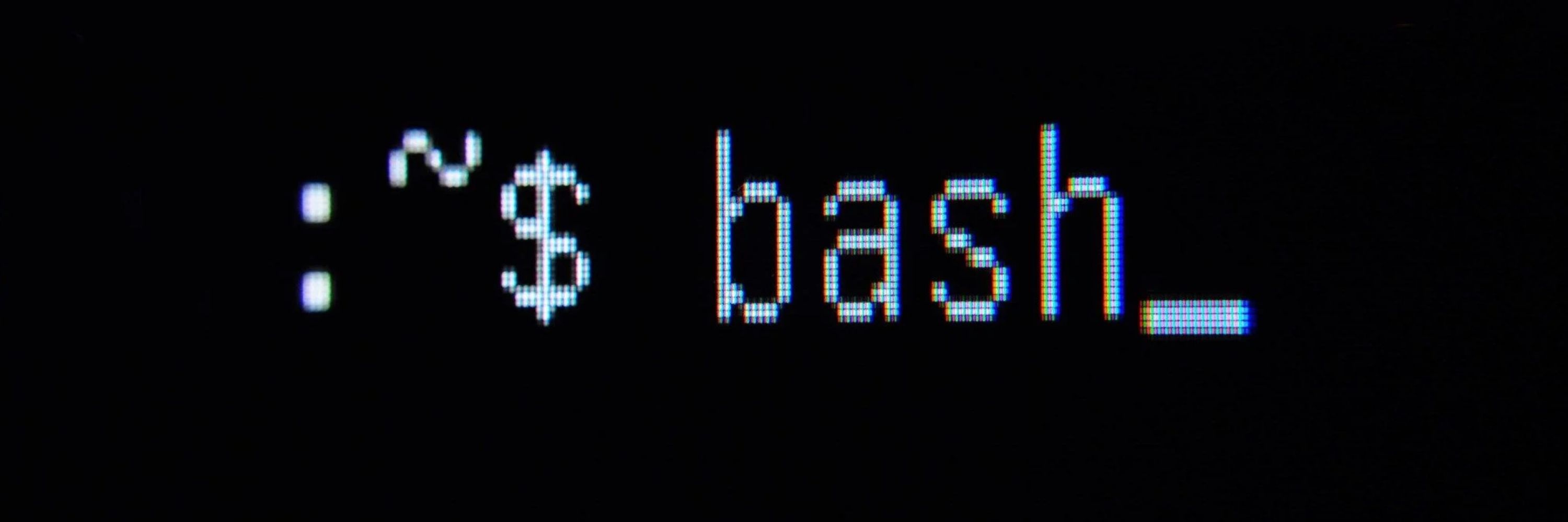 Bash