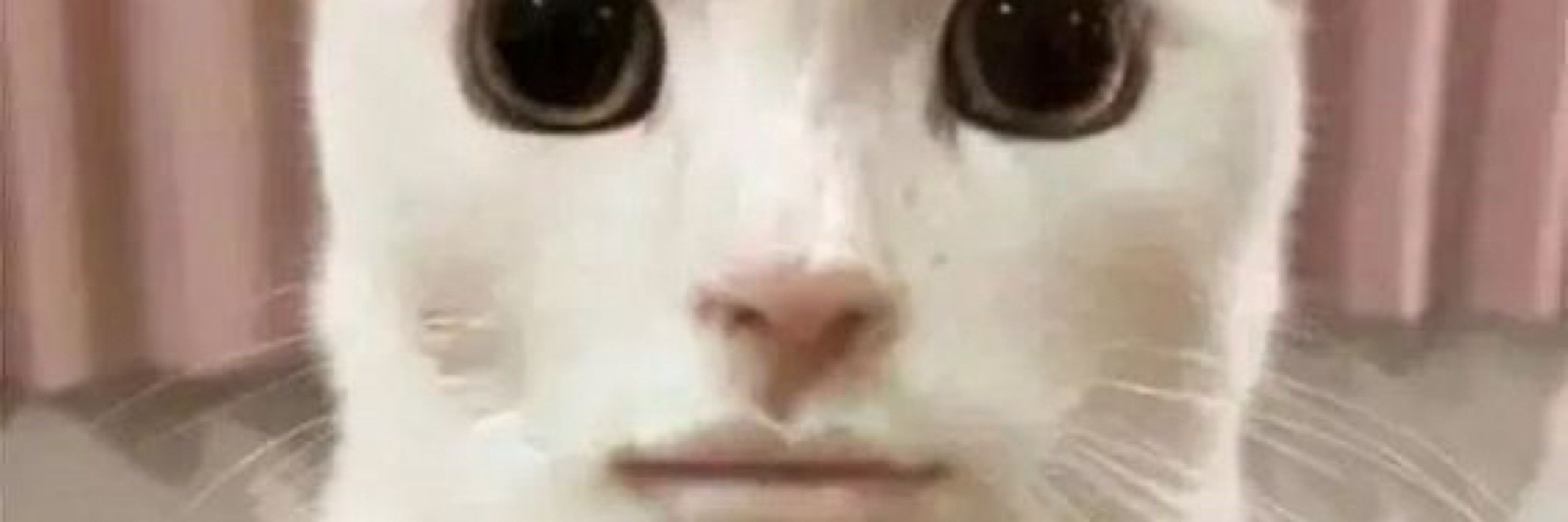giovanaaa