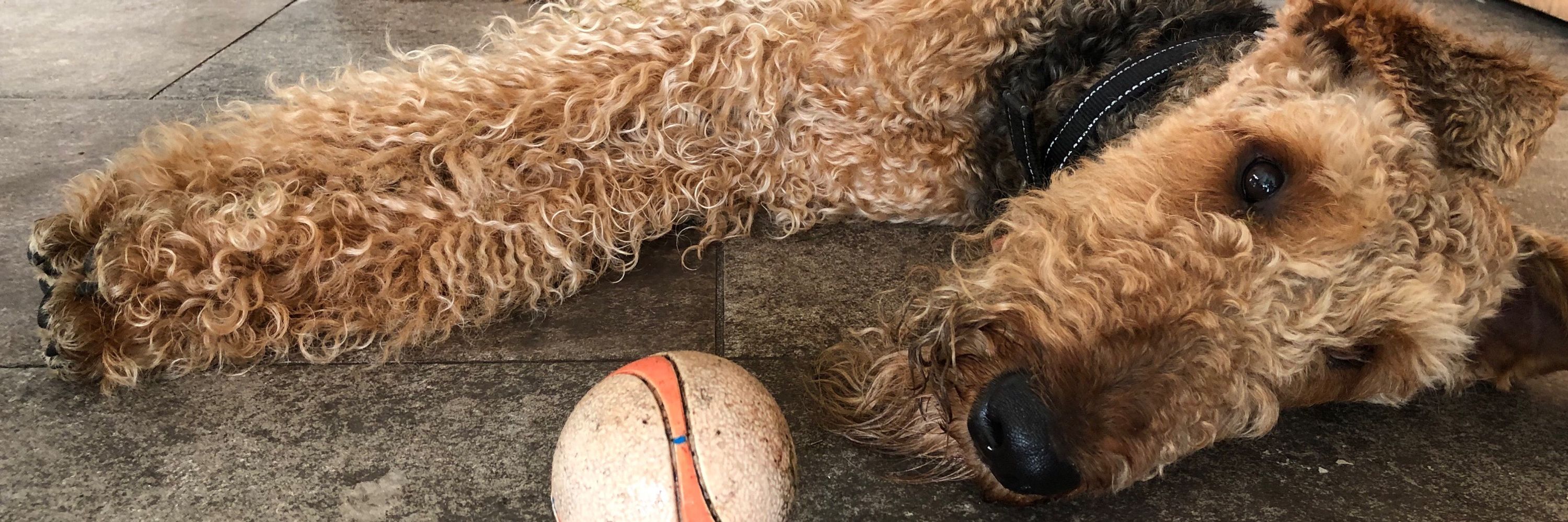 Robin Allshire  🇮🇪 🇪🇺✊🏿    ⬆️ Zak’s favourite nucleosome: K9me