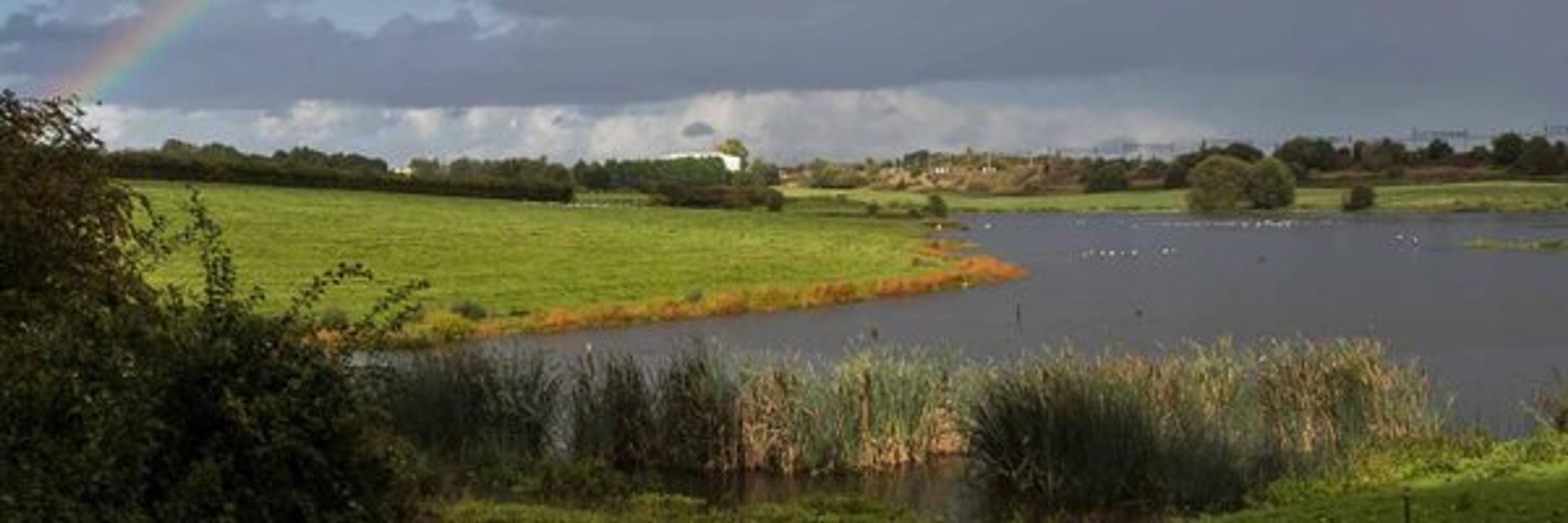 Sandbach Flashes Bird News