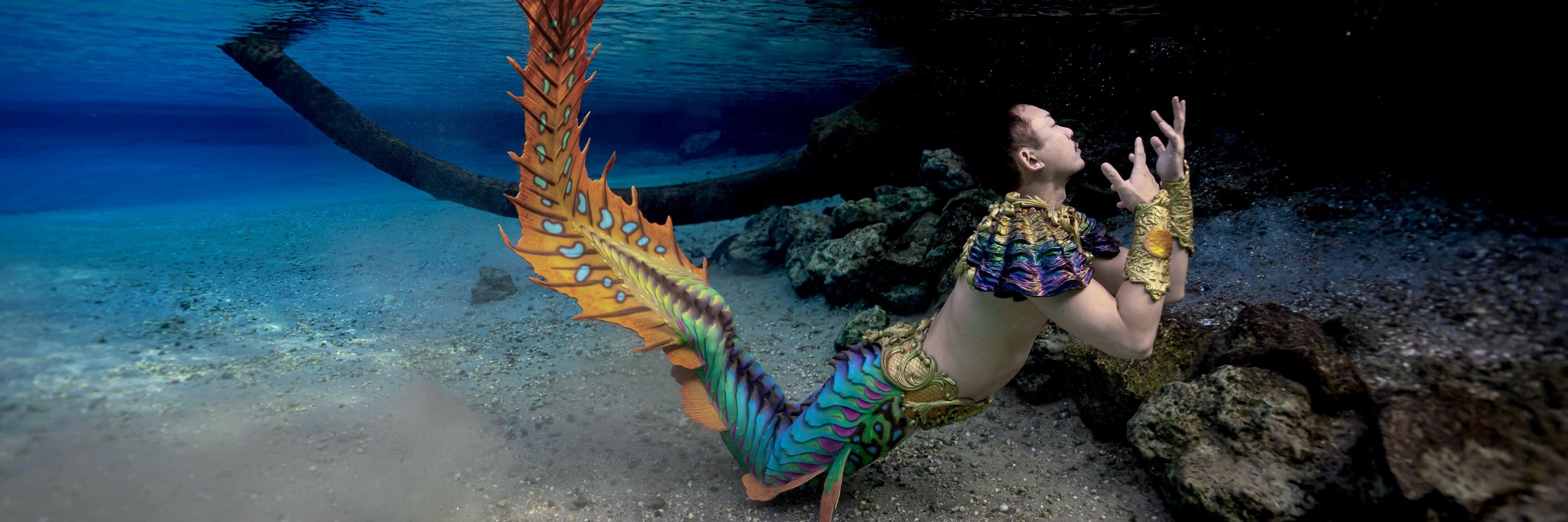 Merman Icarus