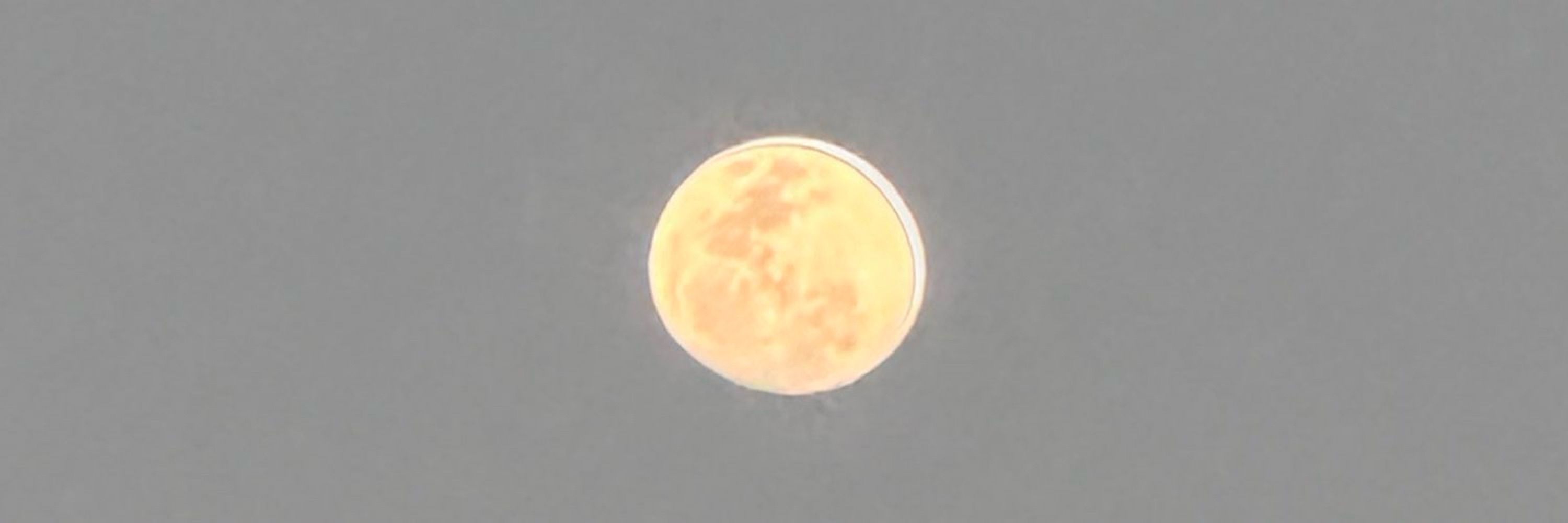 Maria🌙