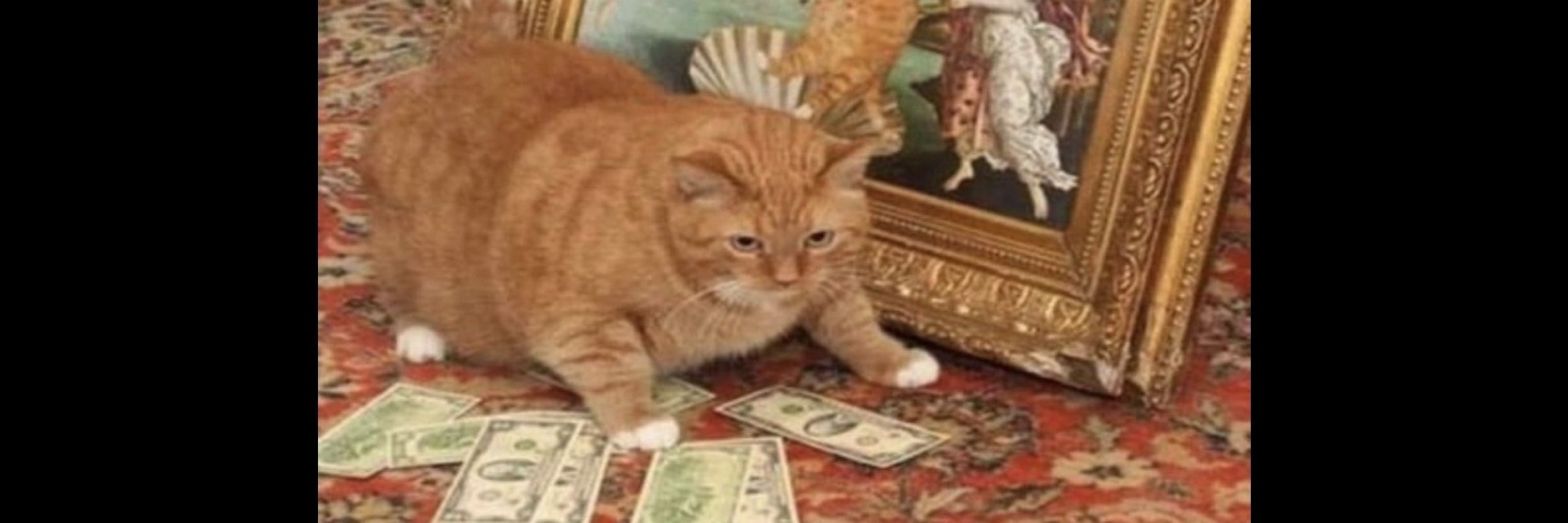 Cash-an-d’Esch