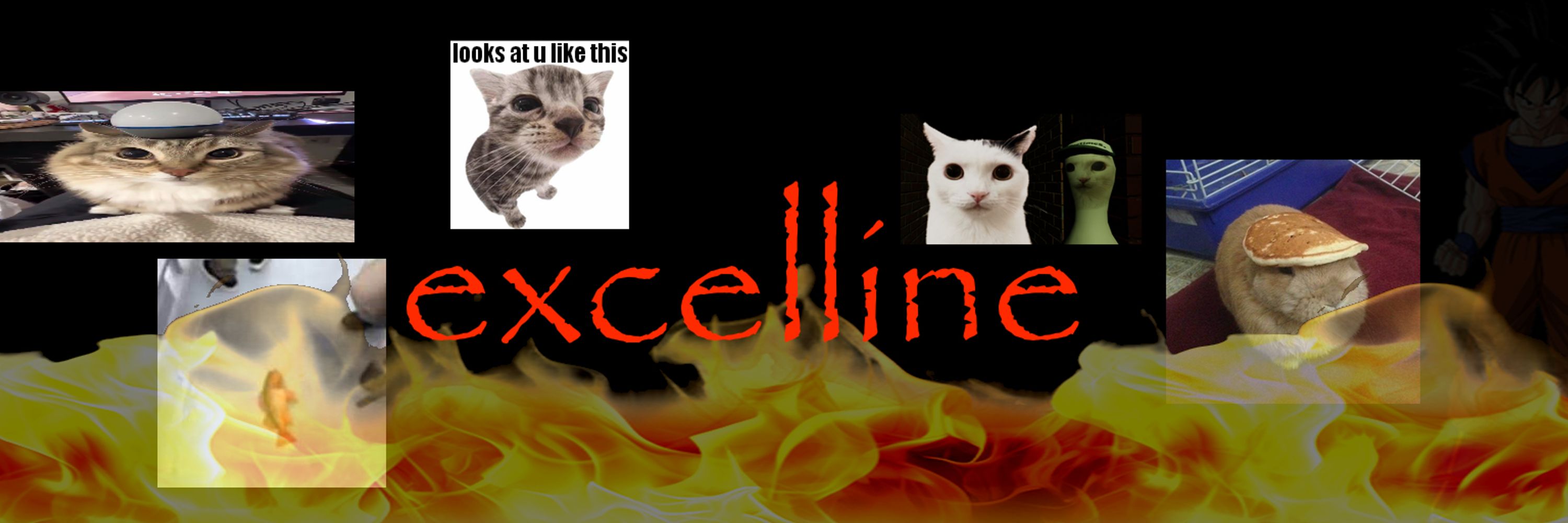 excelline!!!!