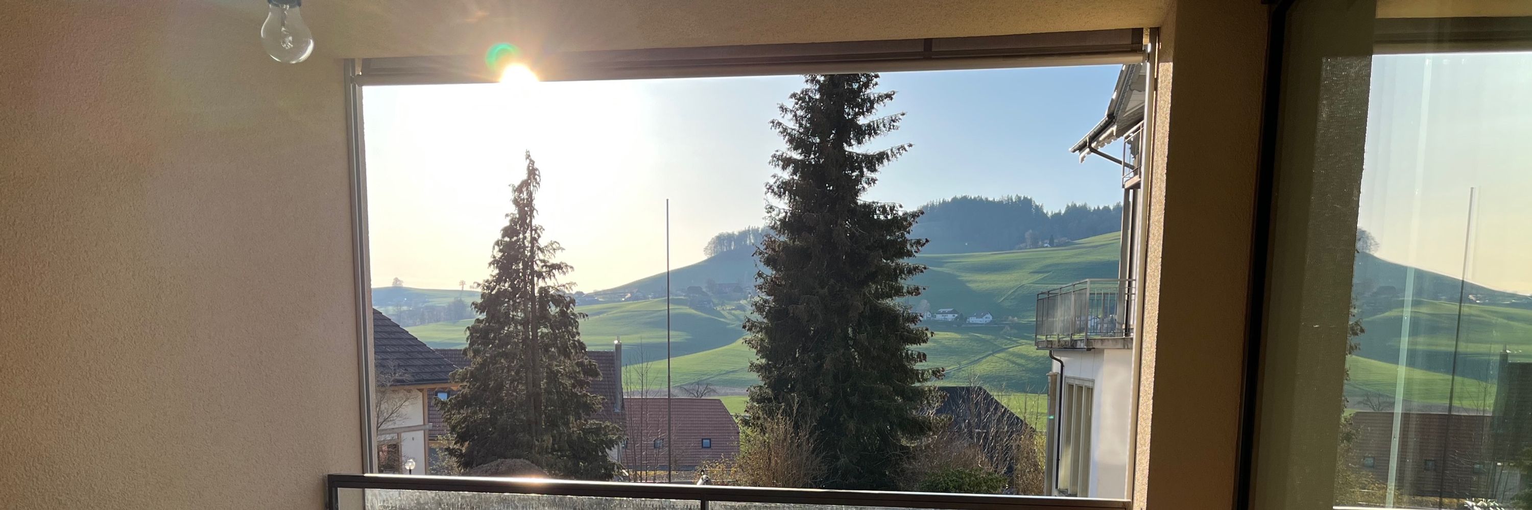 Heidi 