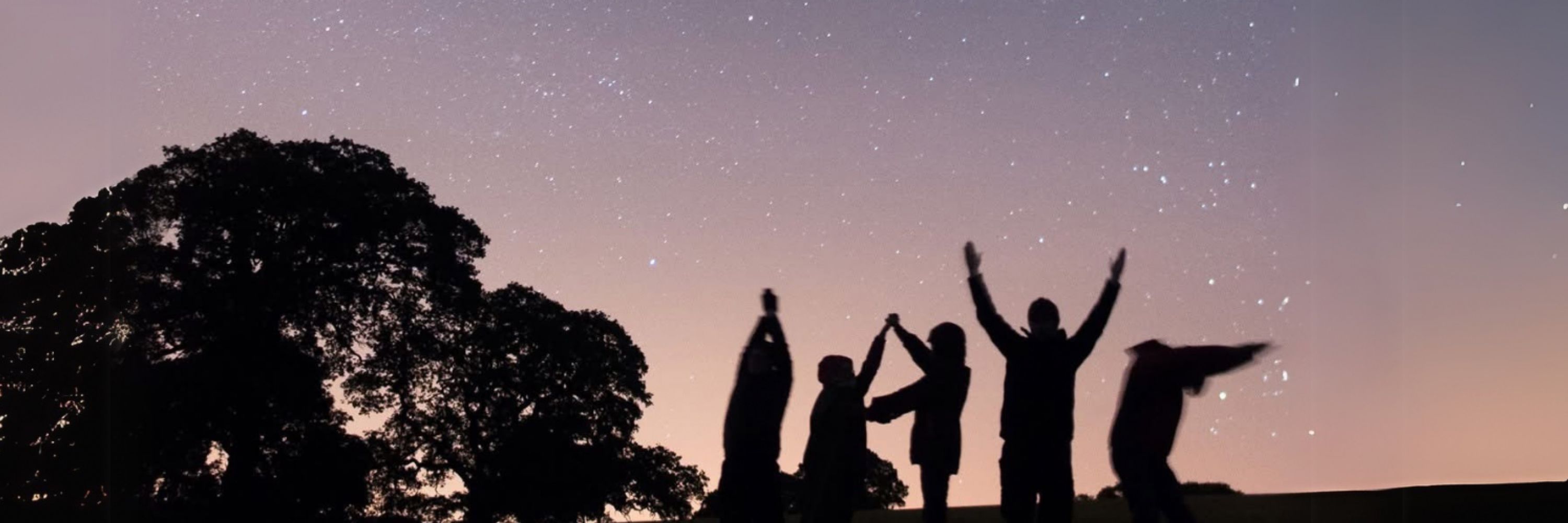 International Astronomical Youth Camp