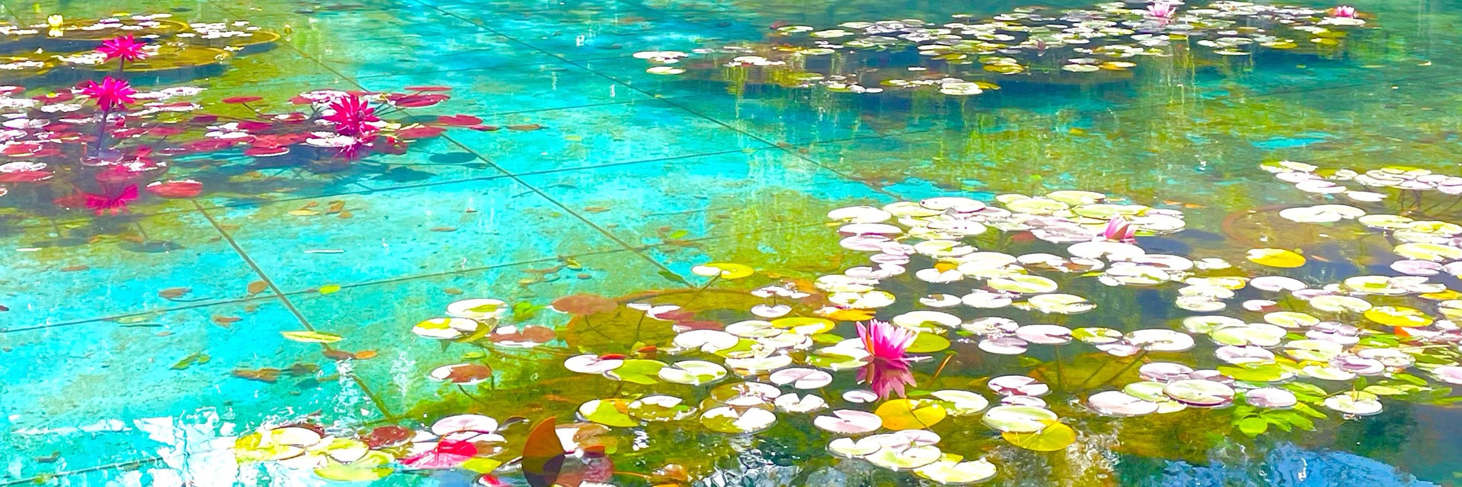 永瑛