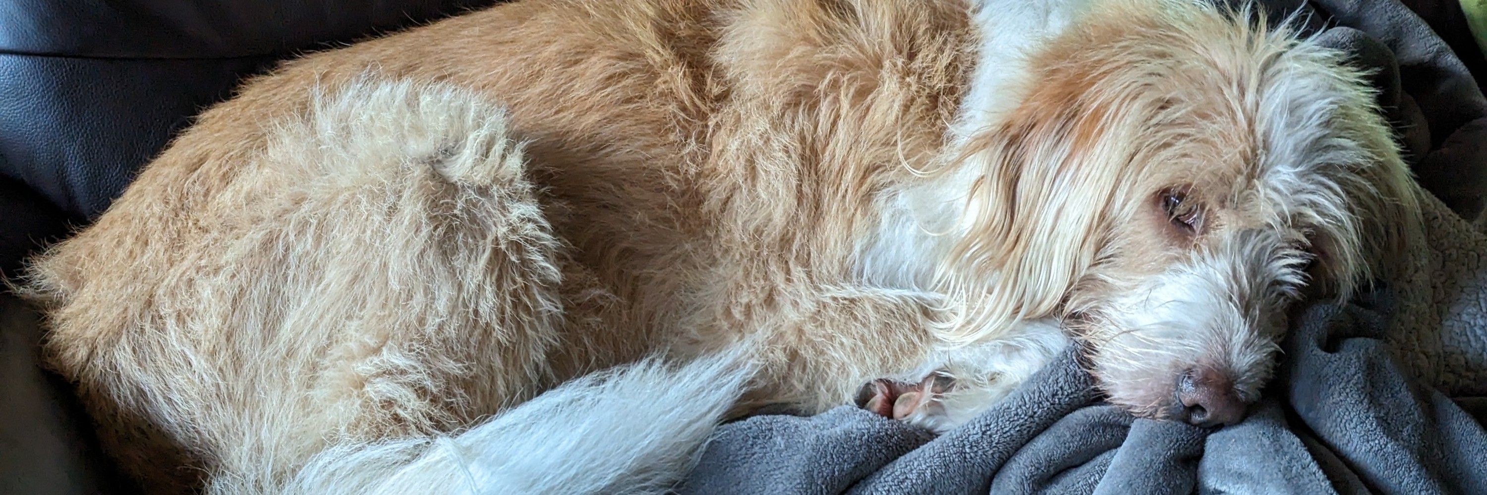 Cooper und Henry