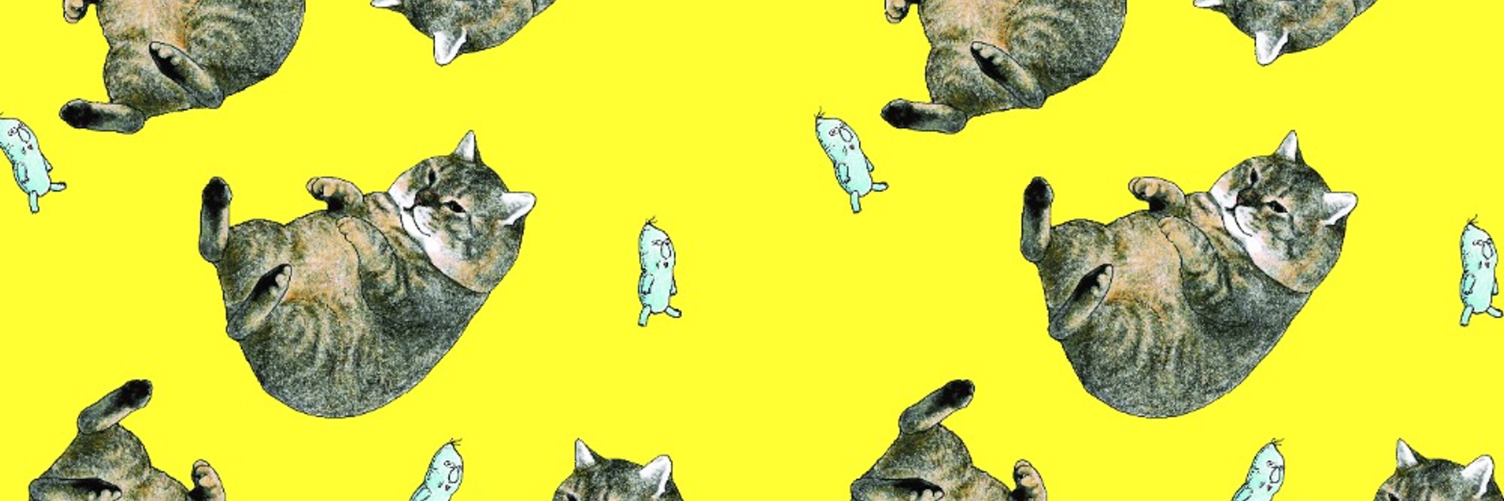 俺、つしま