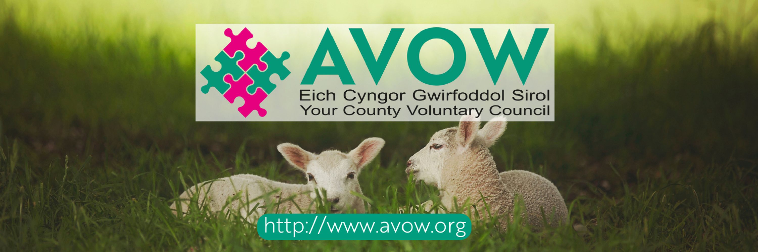 AVOW - Association of Voluntary Organisations, Wrexham