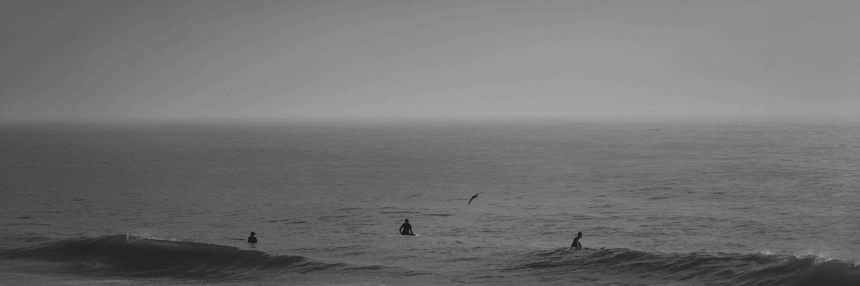 Neil Parry