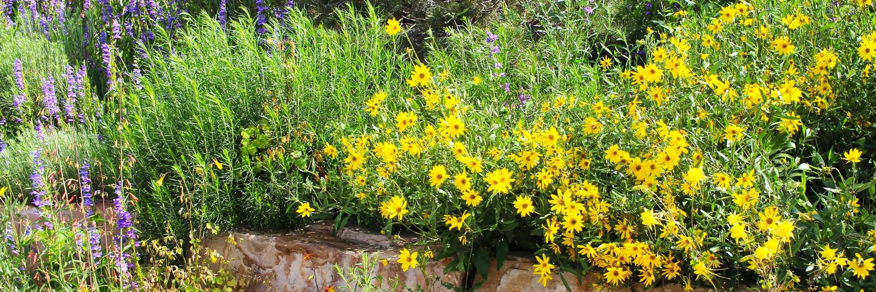 High Plains Environmental Center
