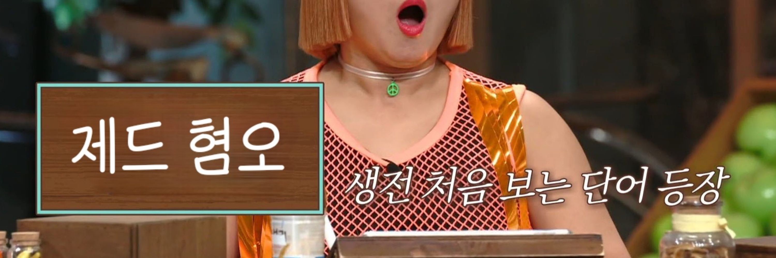 포켓몬고 하는 금성인