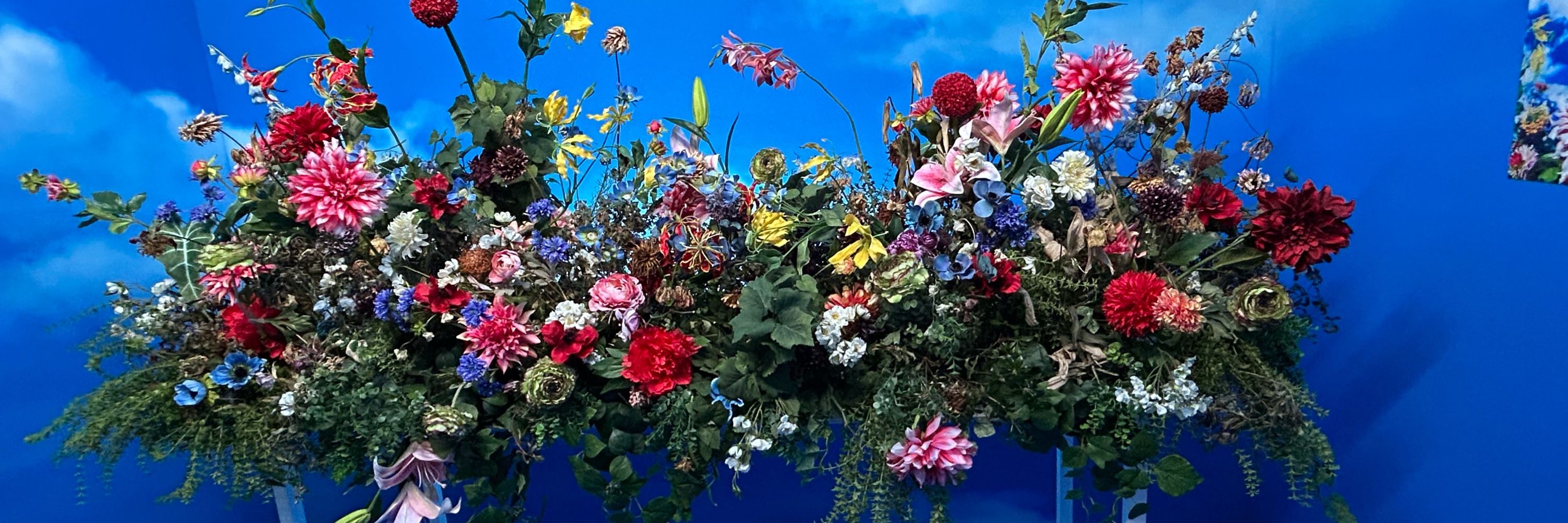あおい🌺