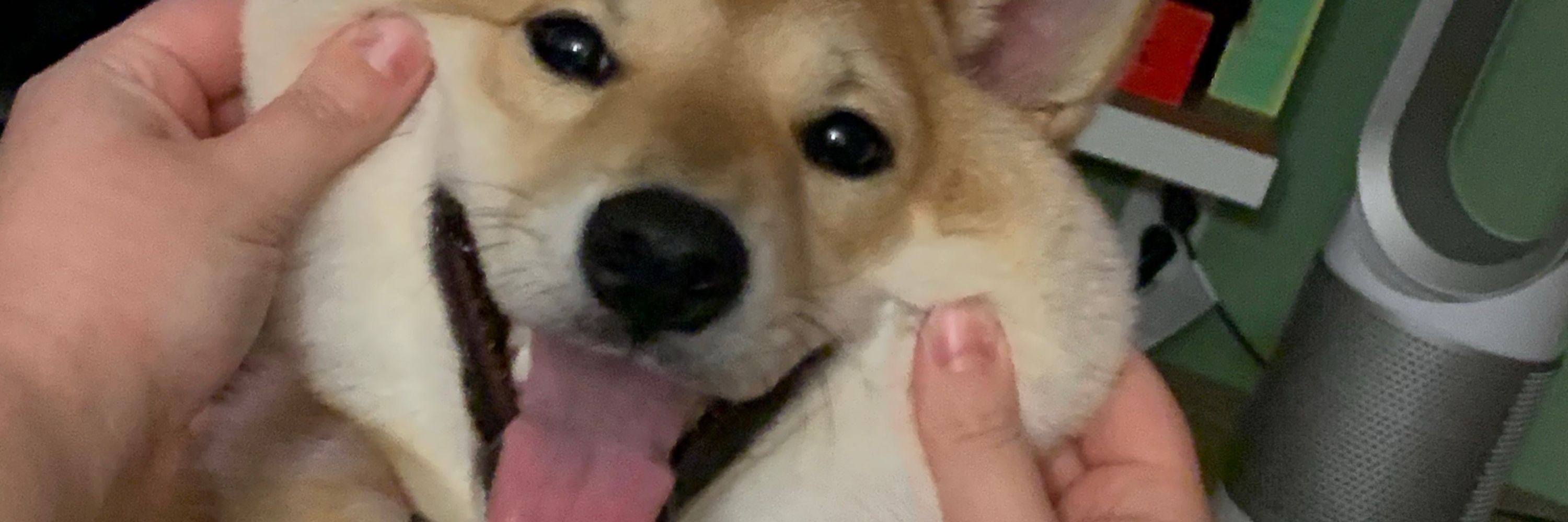 Brian