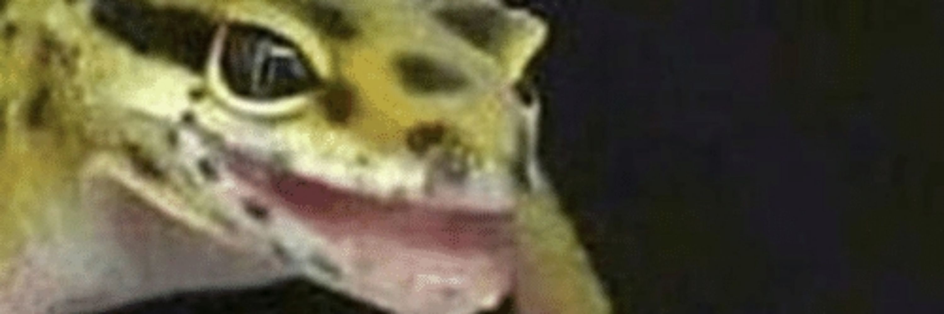 Fangel