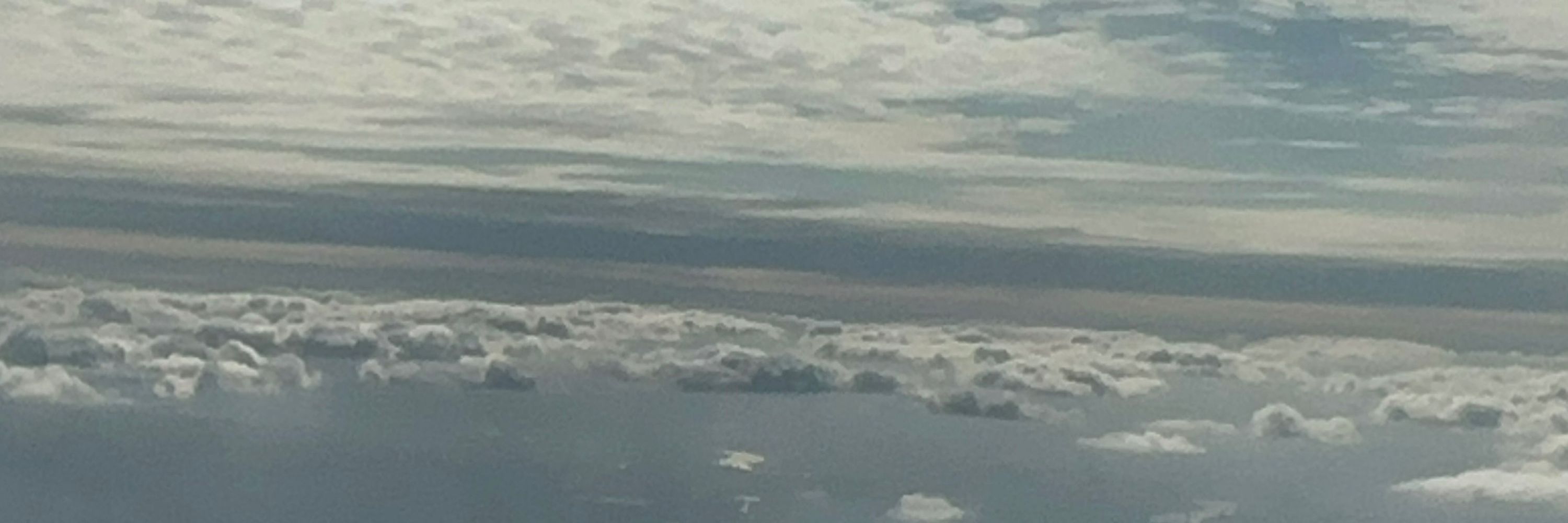 Yan