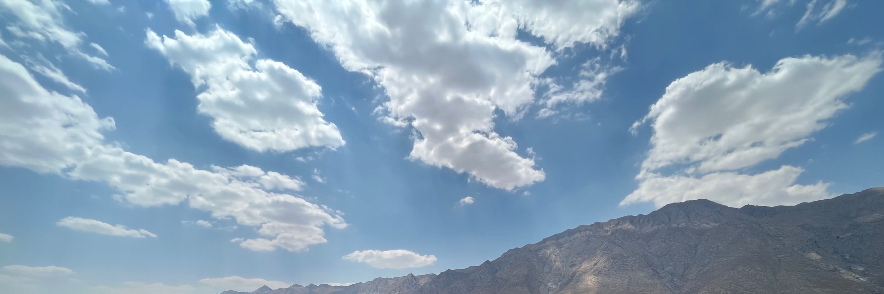 یاسمن