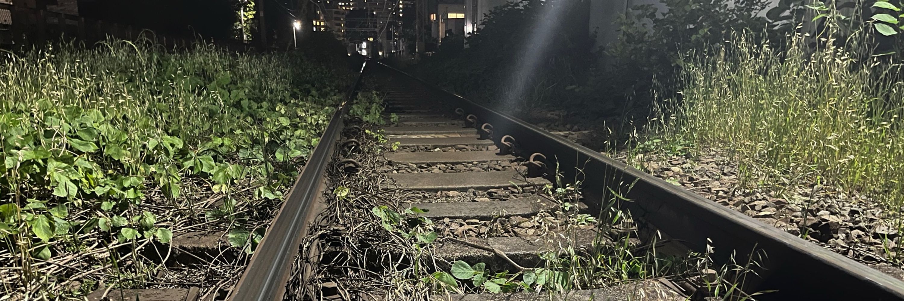 赤帯