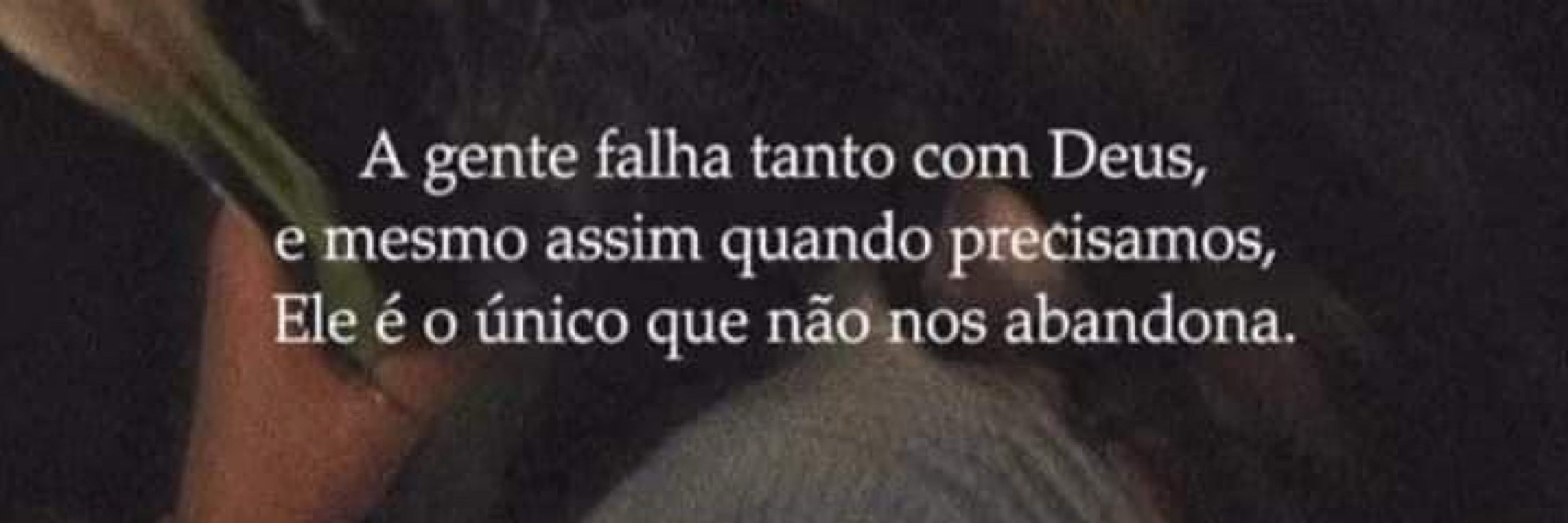 Flavio Gomes