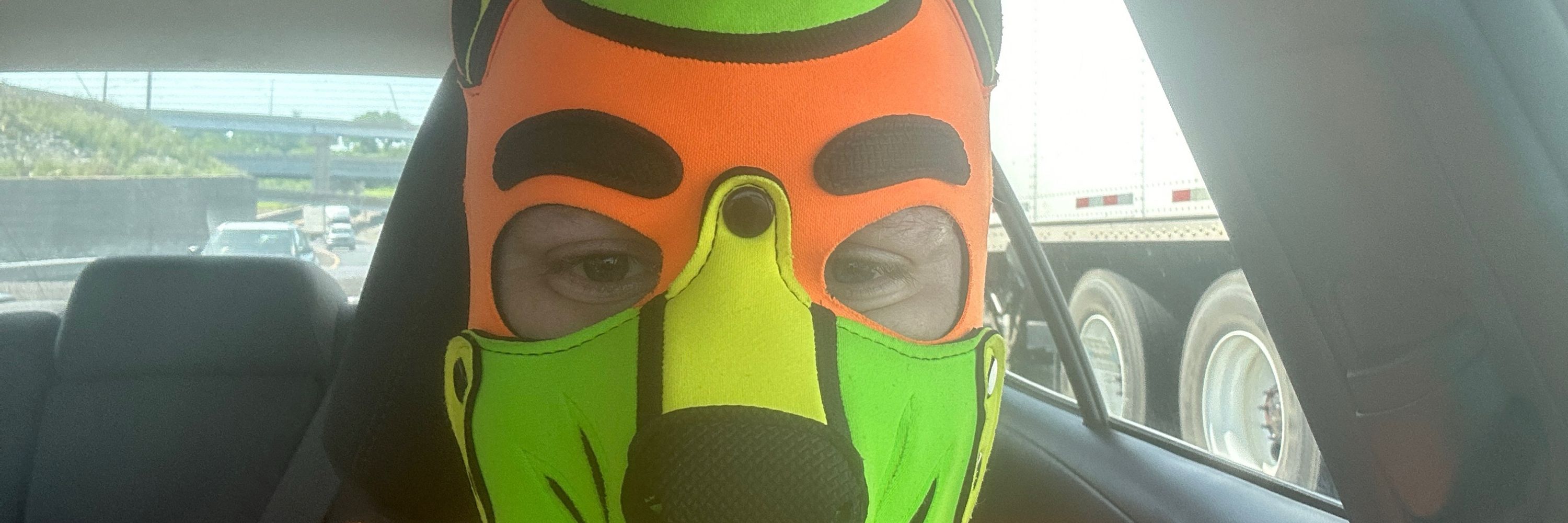 PupNeon