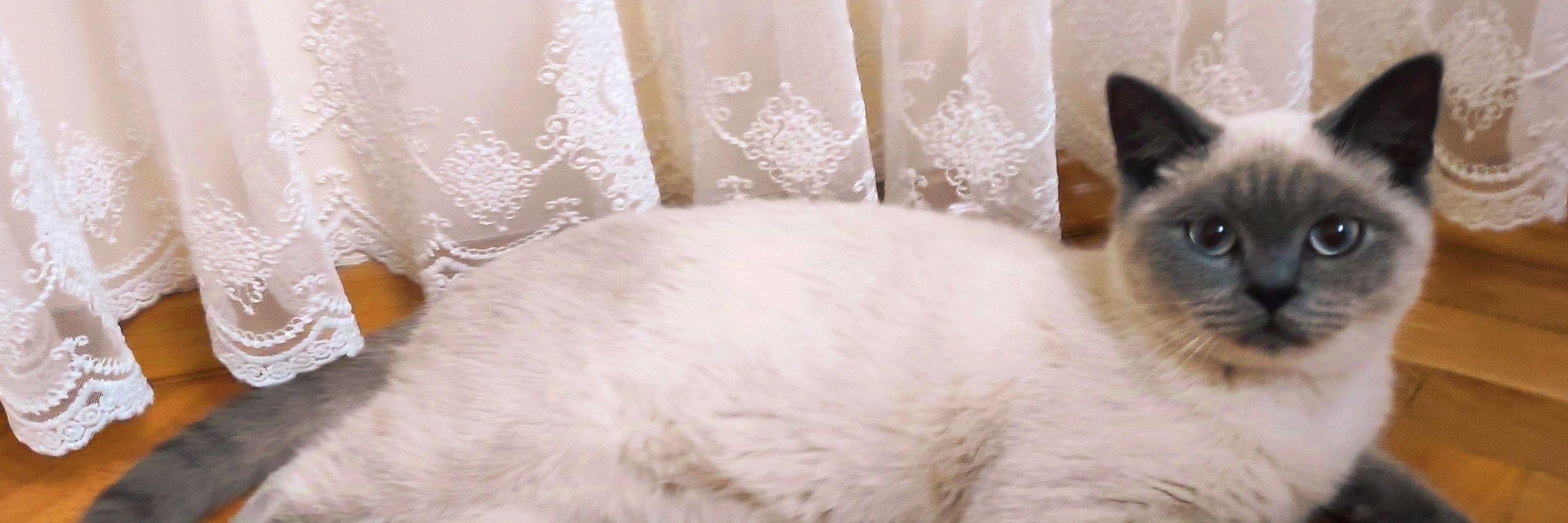 😺 Mars'ın Babası 🌕
