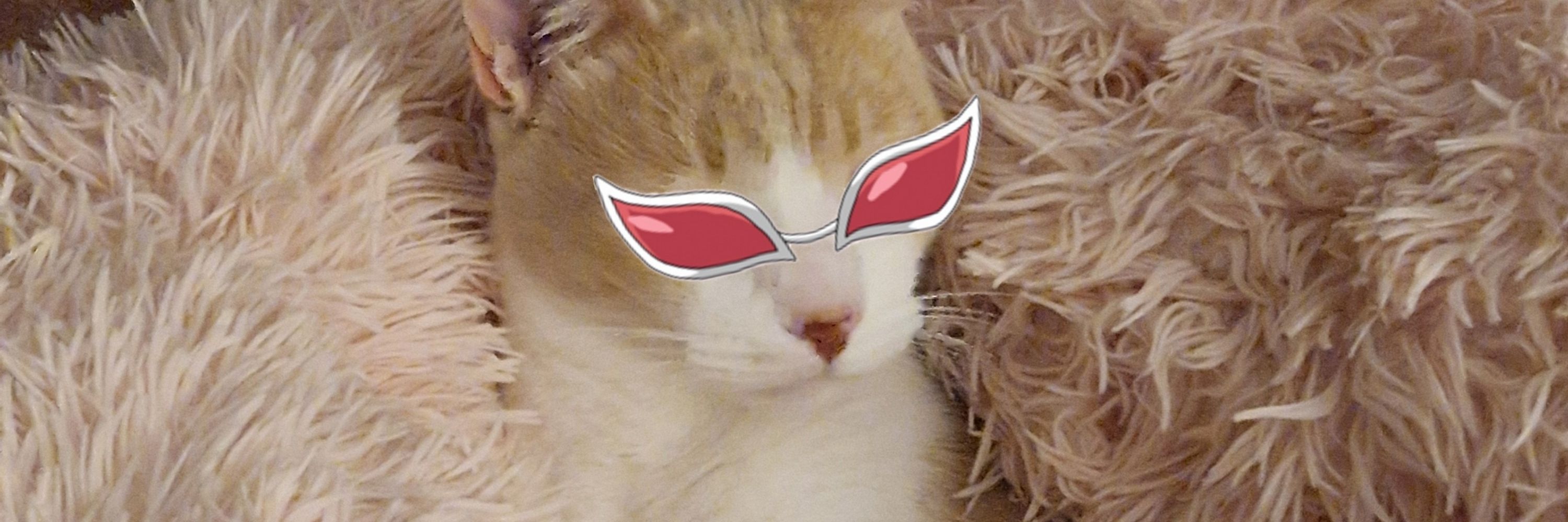 Asusteo