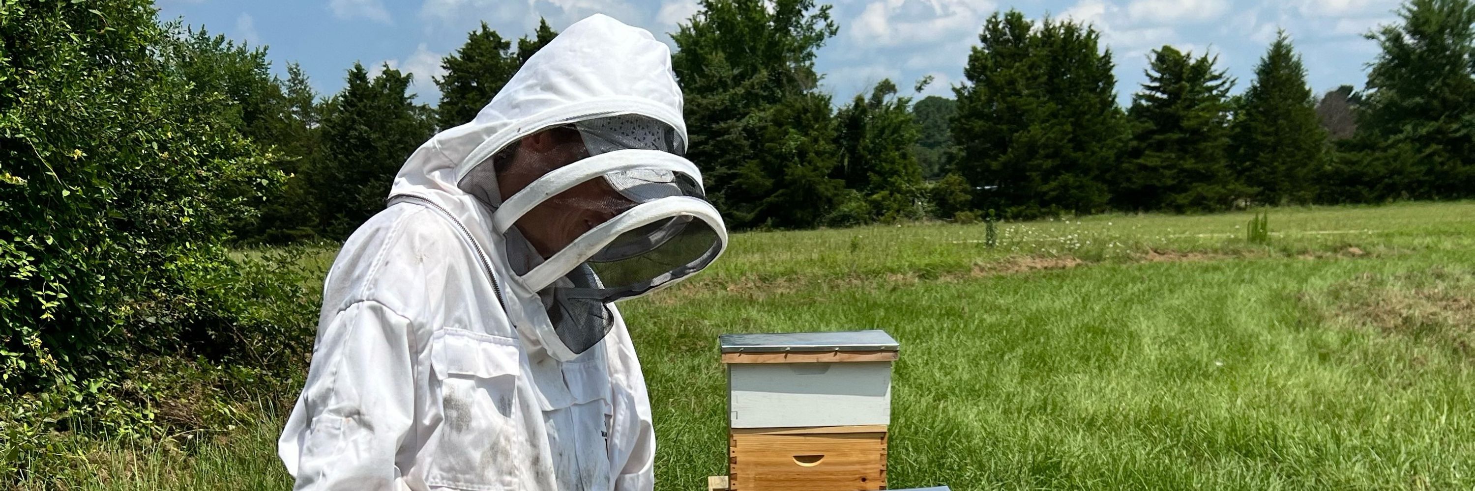 Nursebees