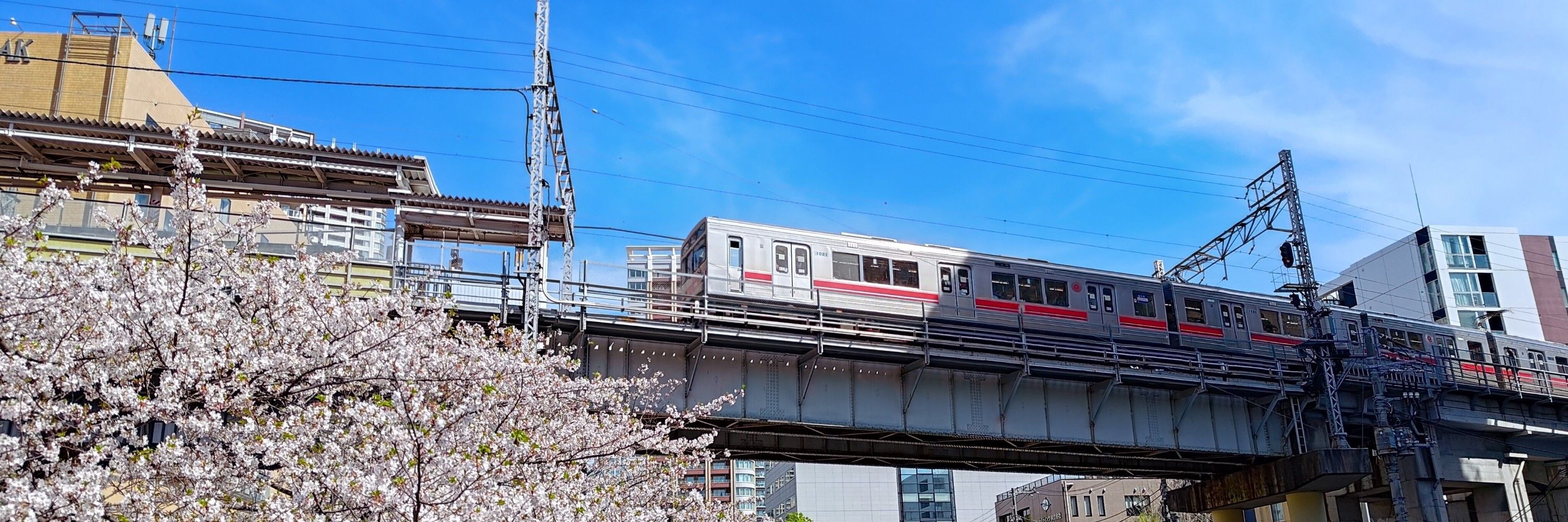しがない乗り鉄