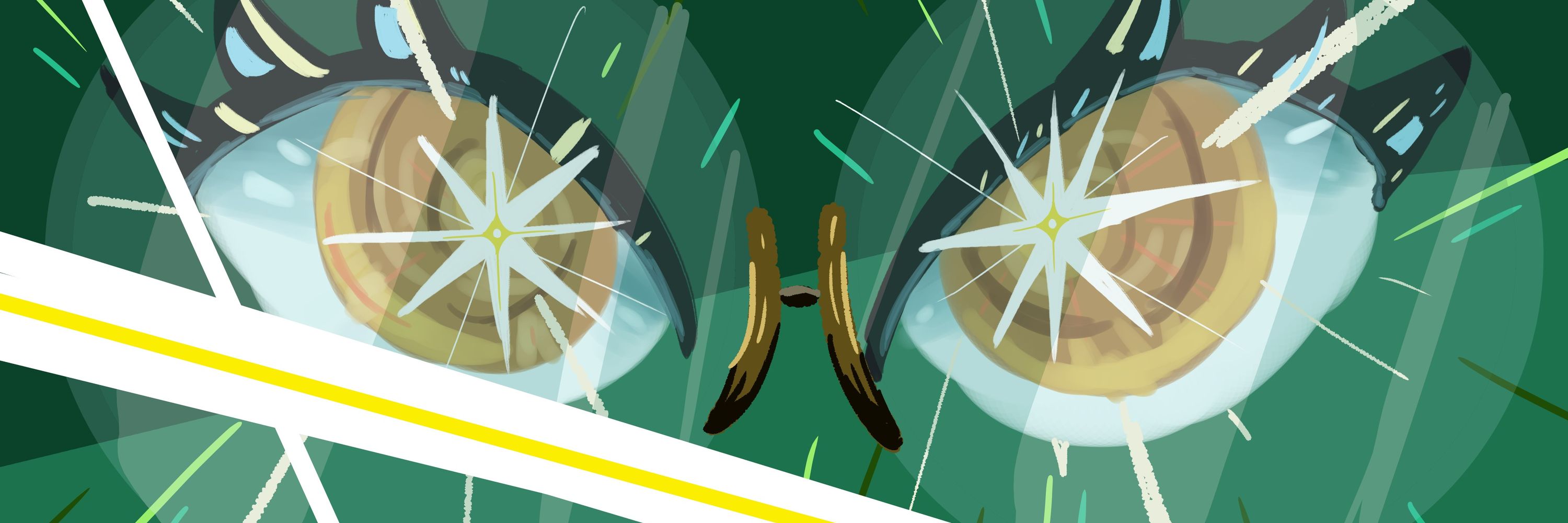 Rinco