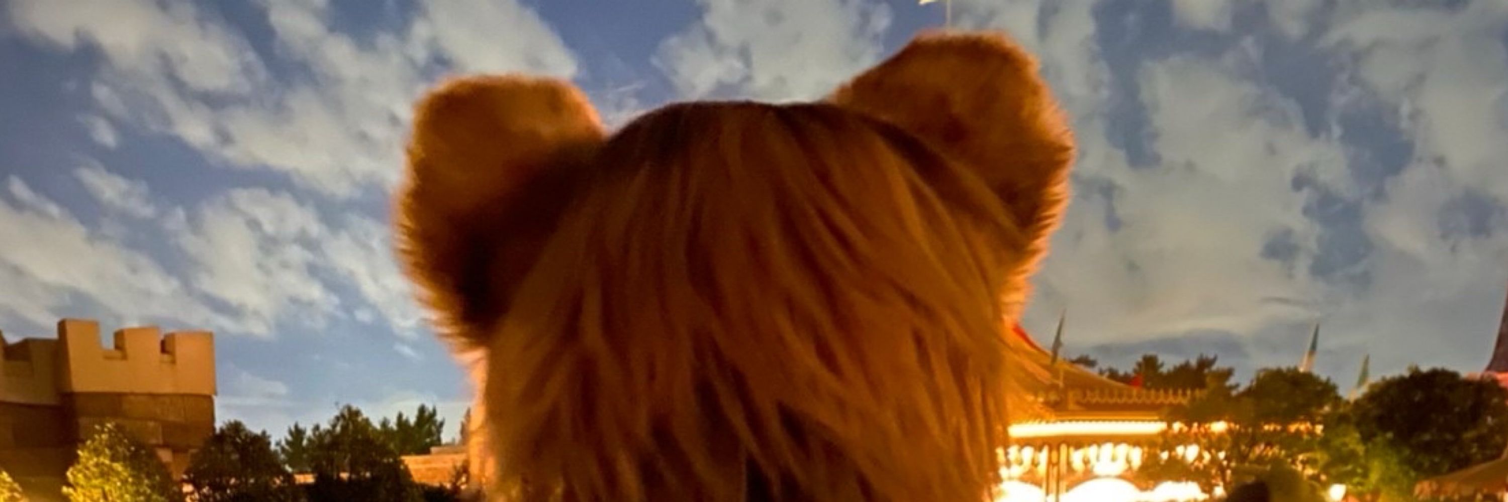 いと🦊⚜️