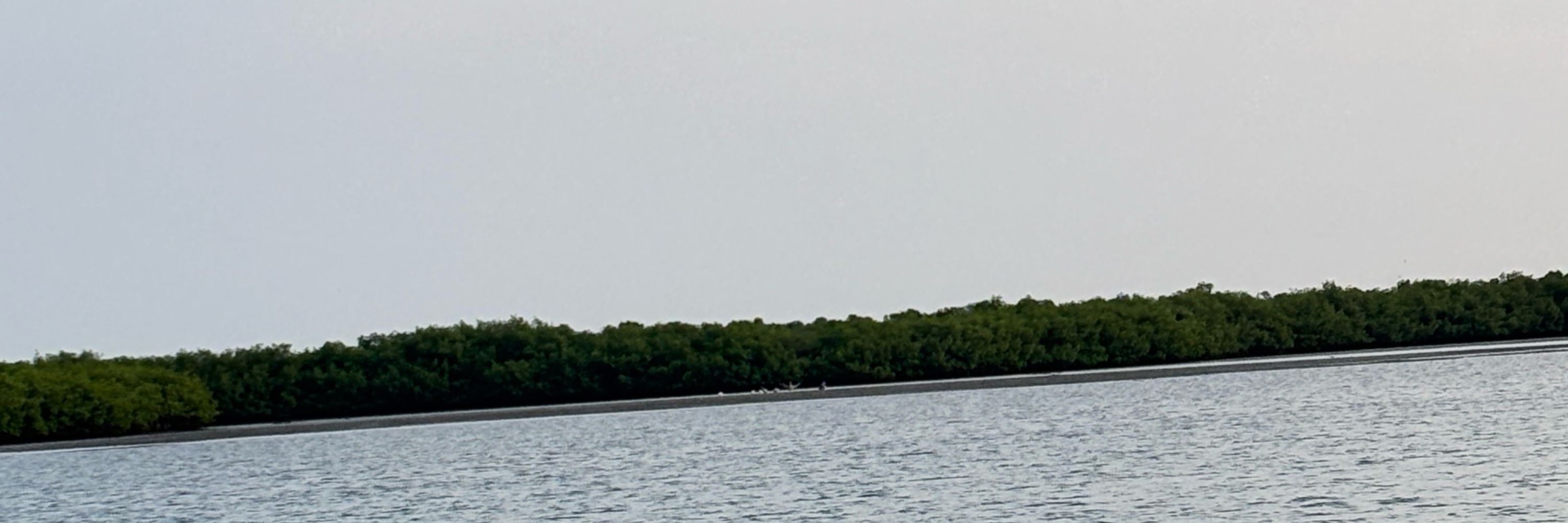 Ansumana