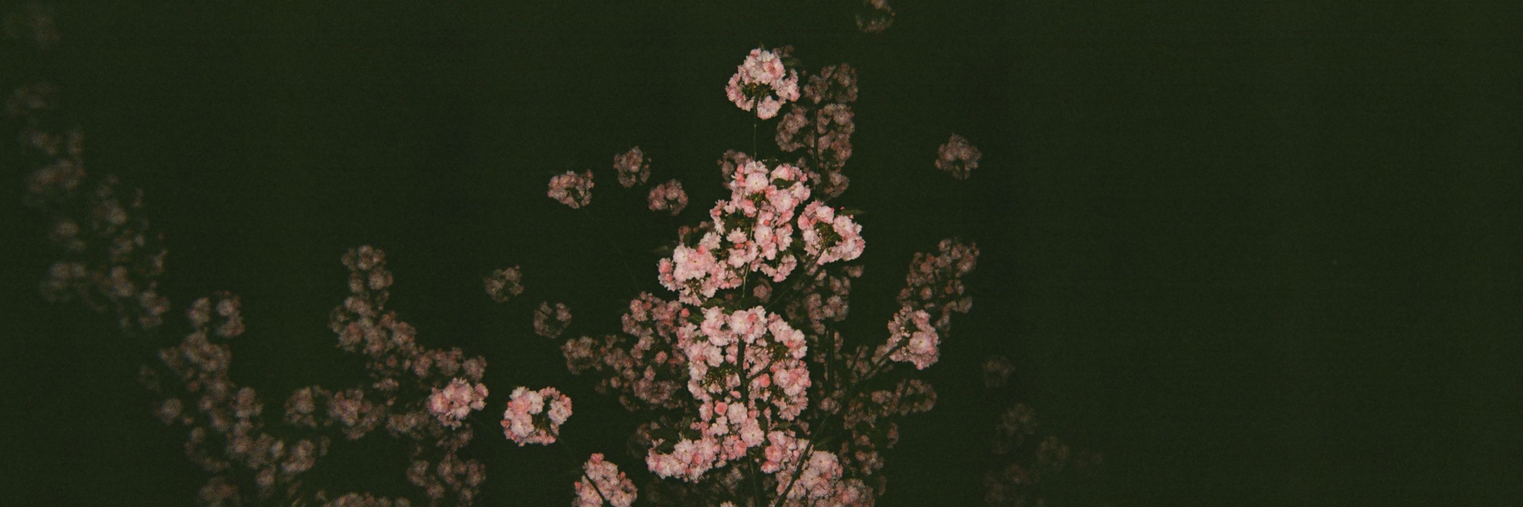 𝓂𝒾𝓈𝓈 𝒽𝒶𝓇𝓊౨ৎ