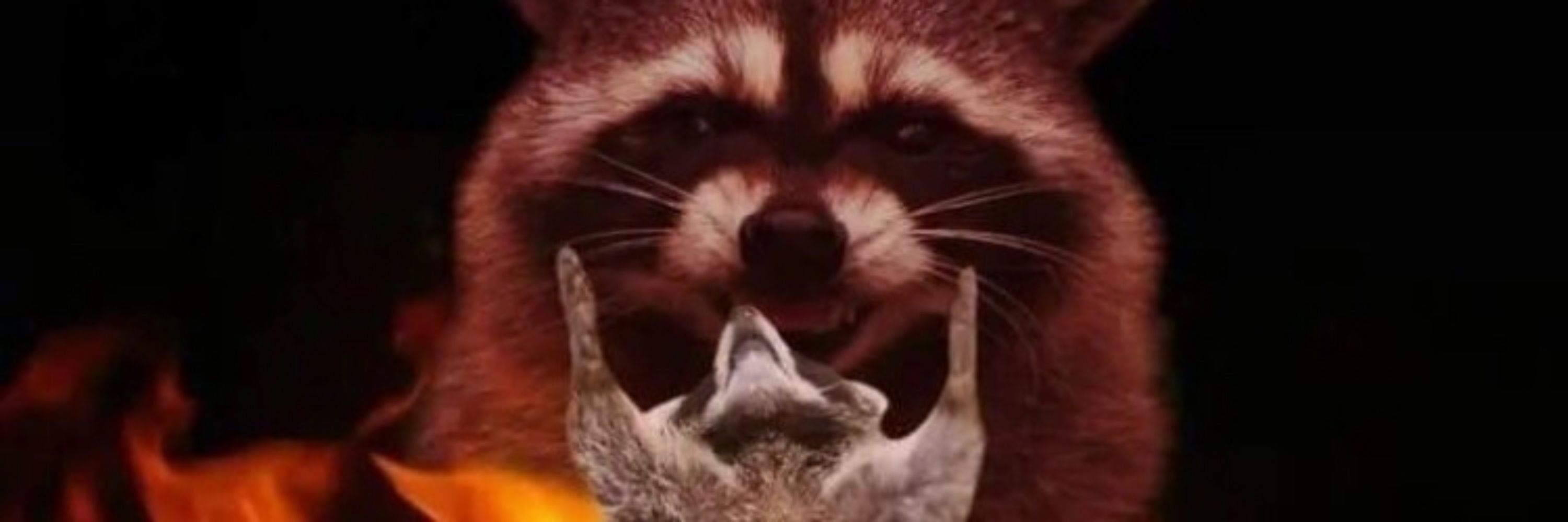 The Raccoon Overlord