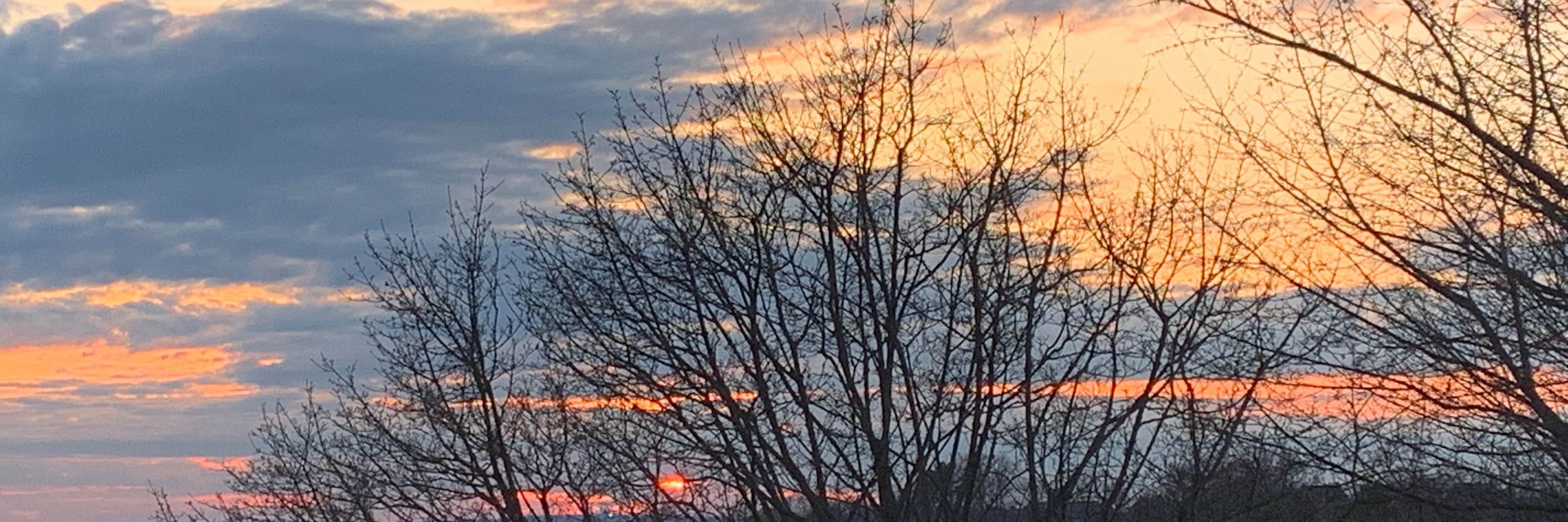 Suzanne 🇺🇸🗽🕊️⚖️✍🏻🎶⚾️🖤💛🫶🏽☯️🟧🌎🦋