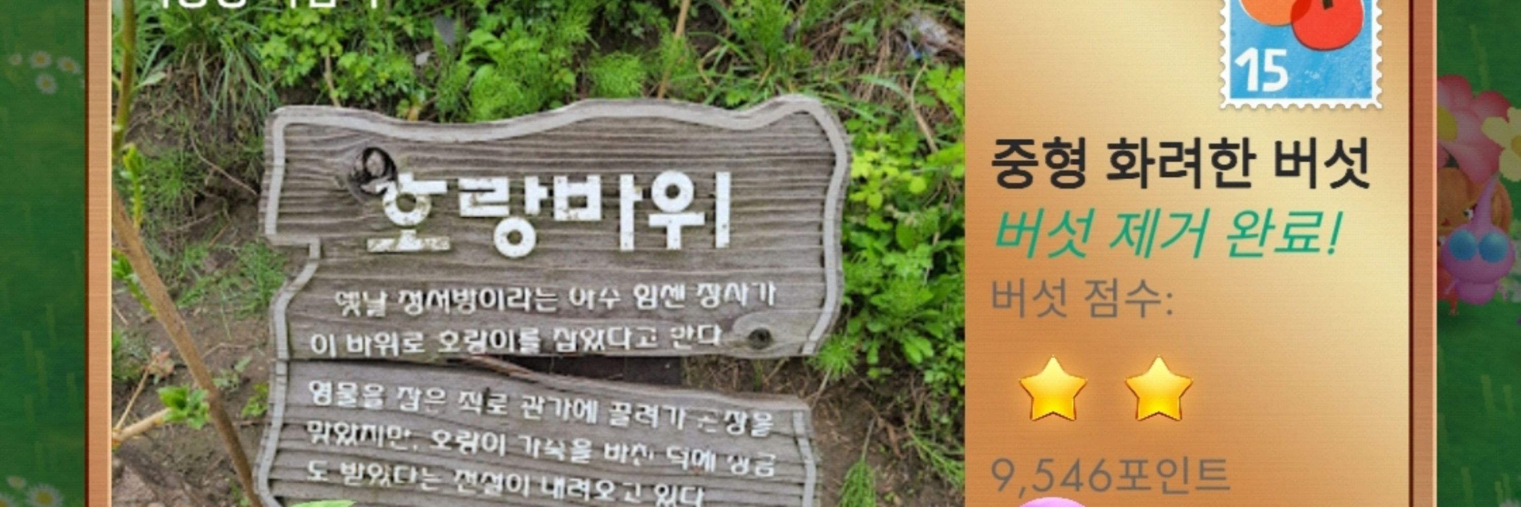 핀귄