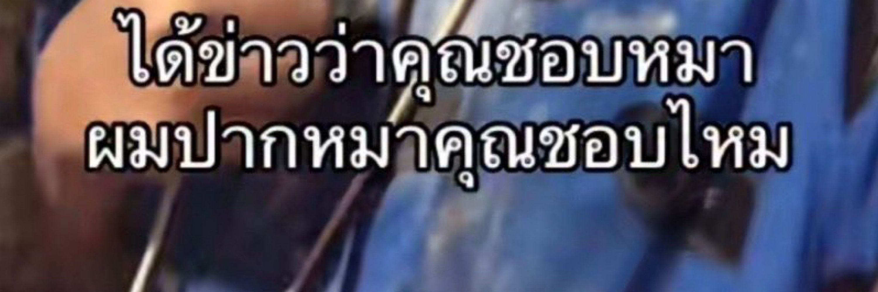 ทิพพานี่˚✧