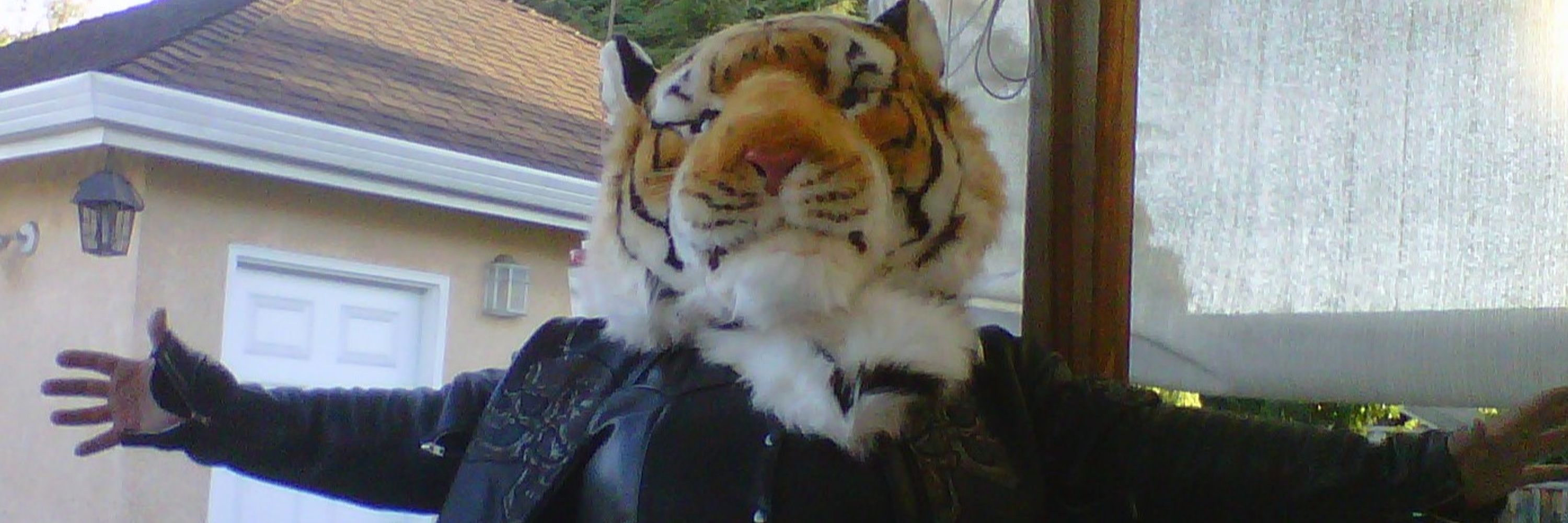 Toni Tiger Ihler
