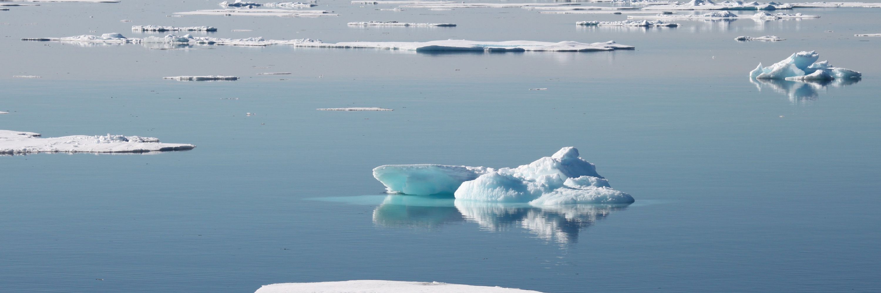 EGU Cryospheric Science Division