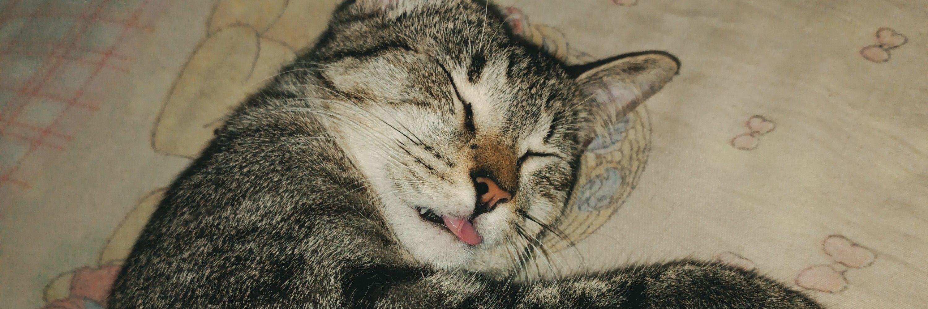 saroca