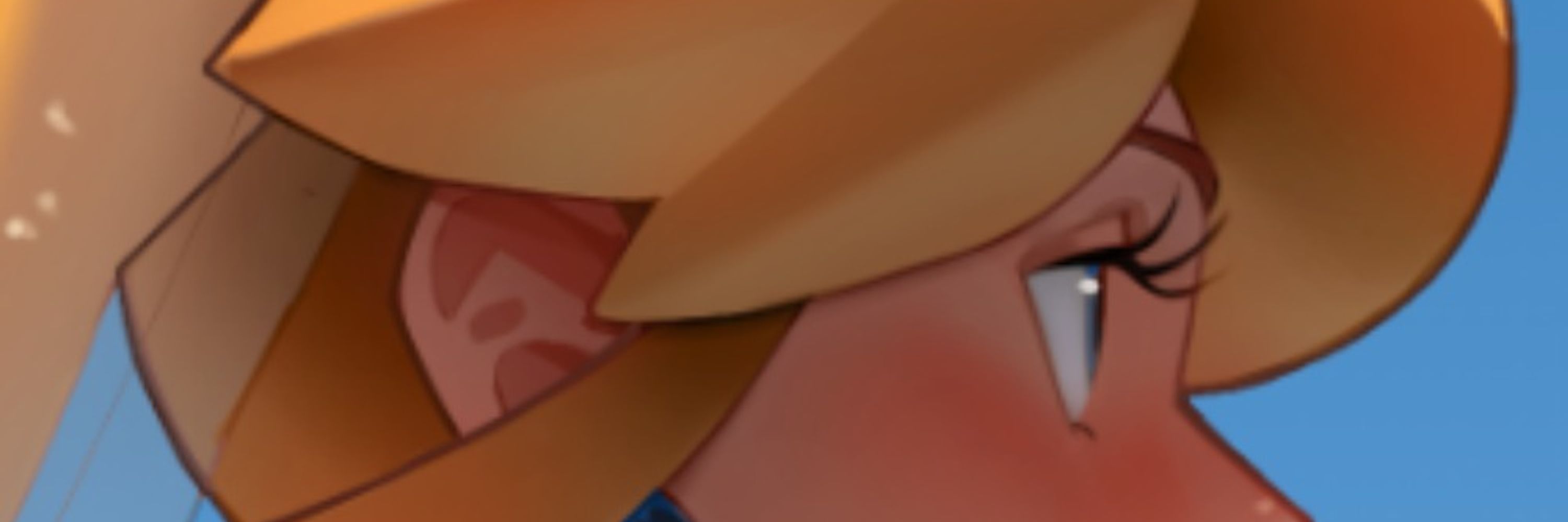 Profile banner