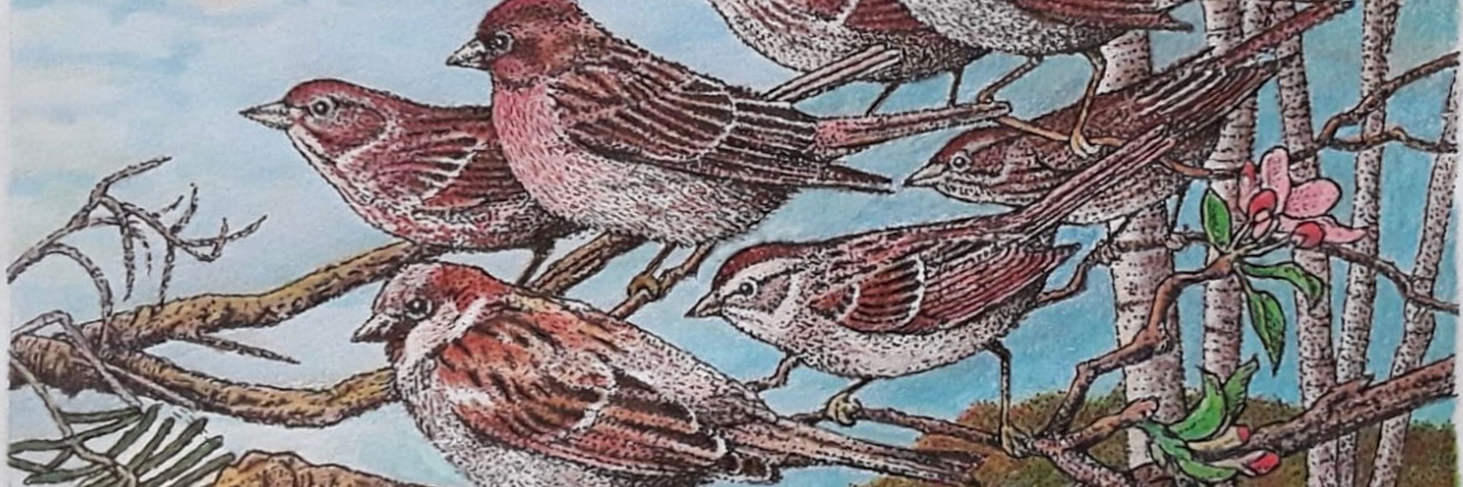 julie dix