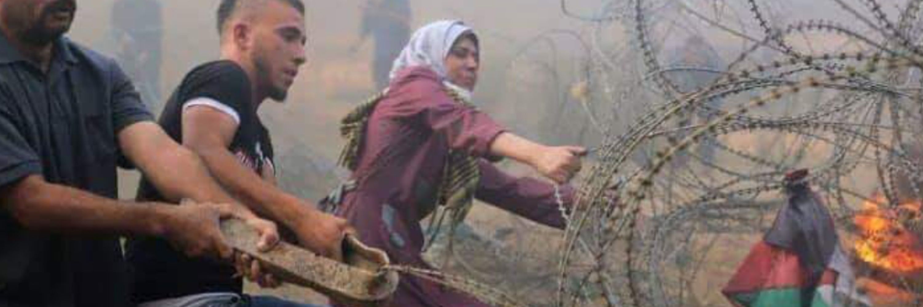 SUPPORTING PALESTINE