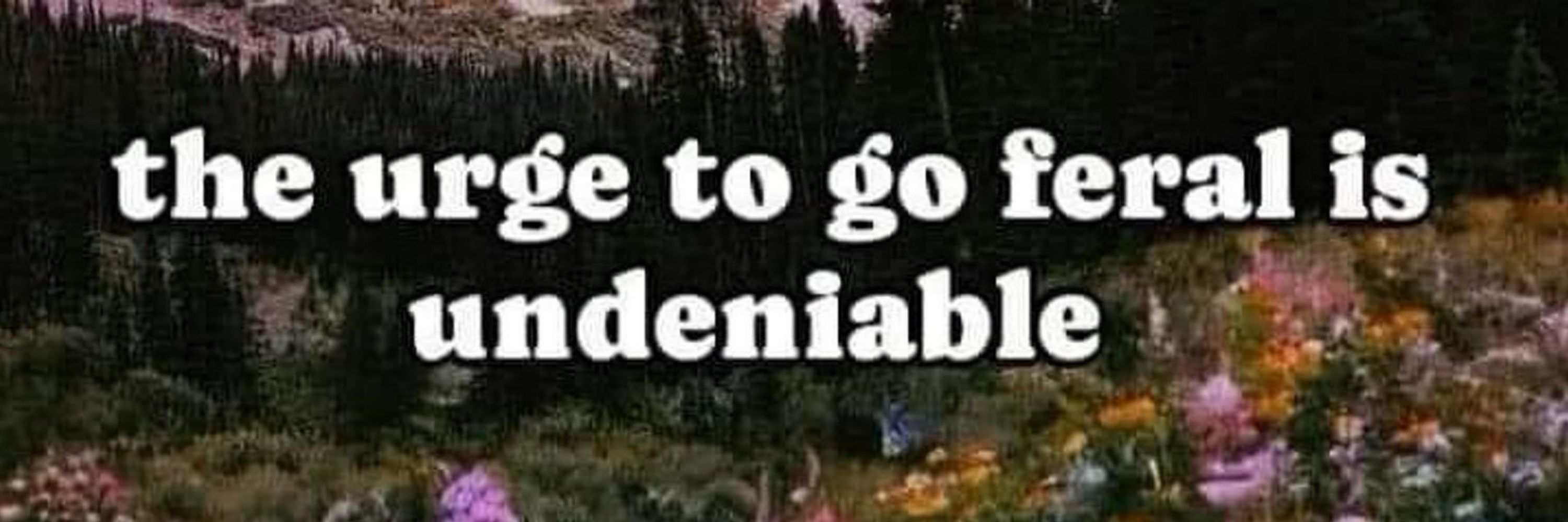 🦴 𝔻𝕖𝕨𝕪 🦴