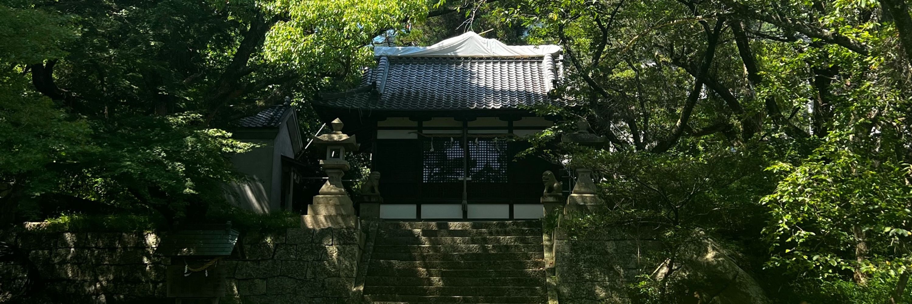 美咲
