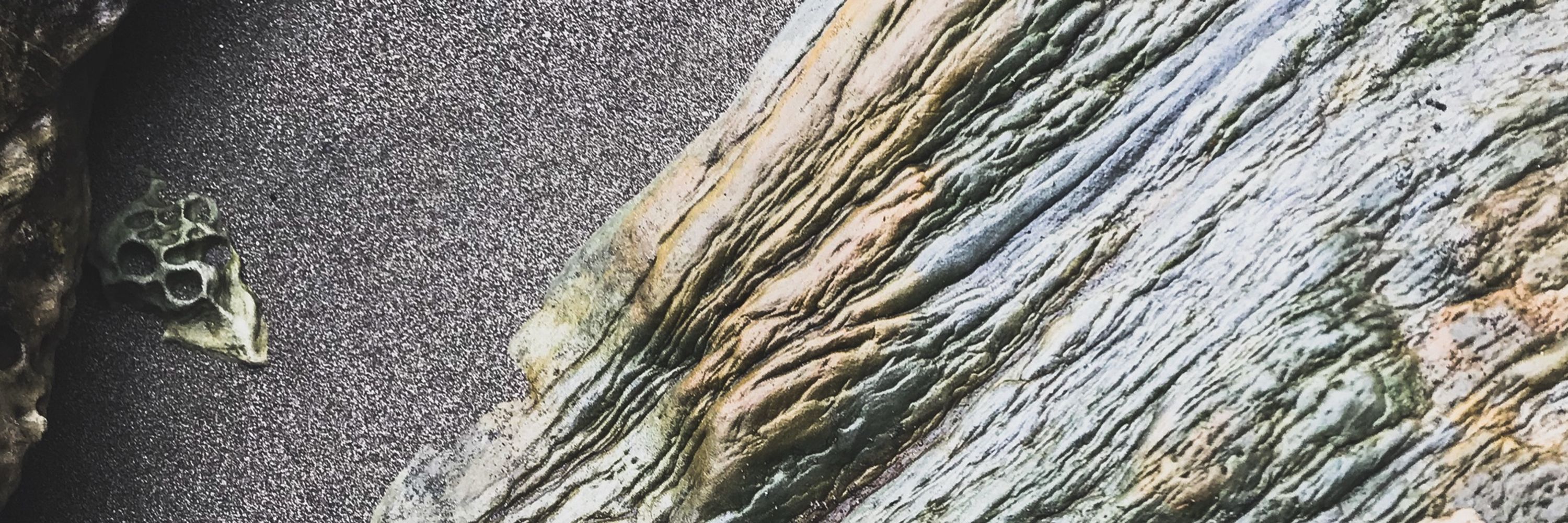 orockular