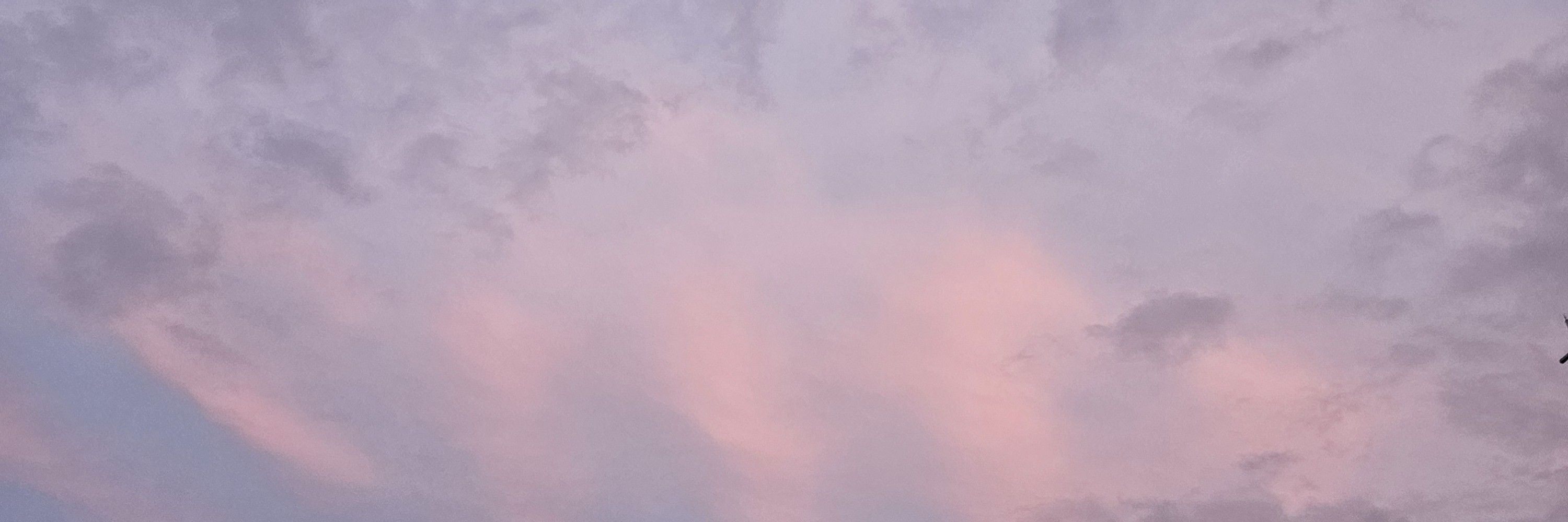퍼랭씨