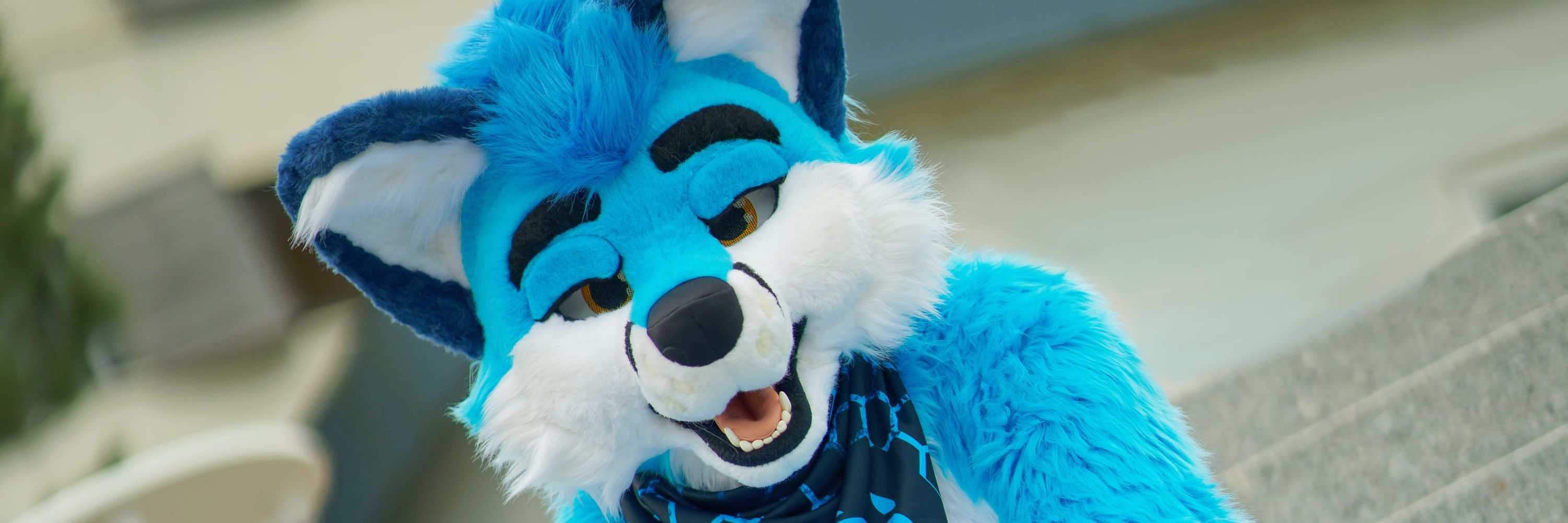 Bloome! ⚡️ @Furciety @EF @EAST