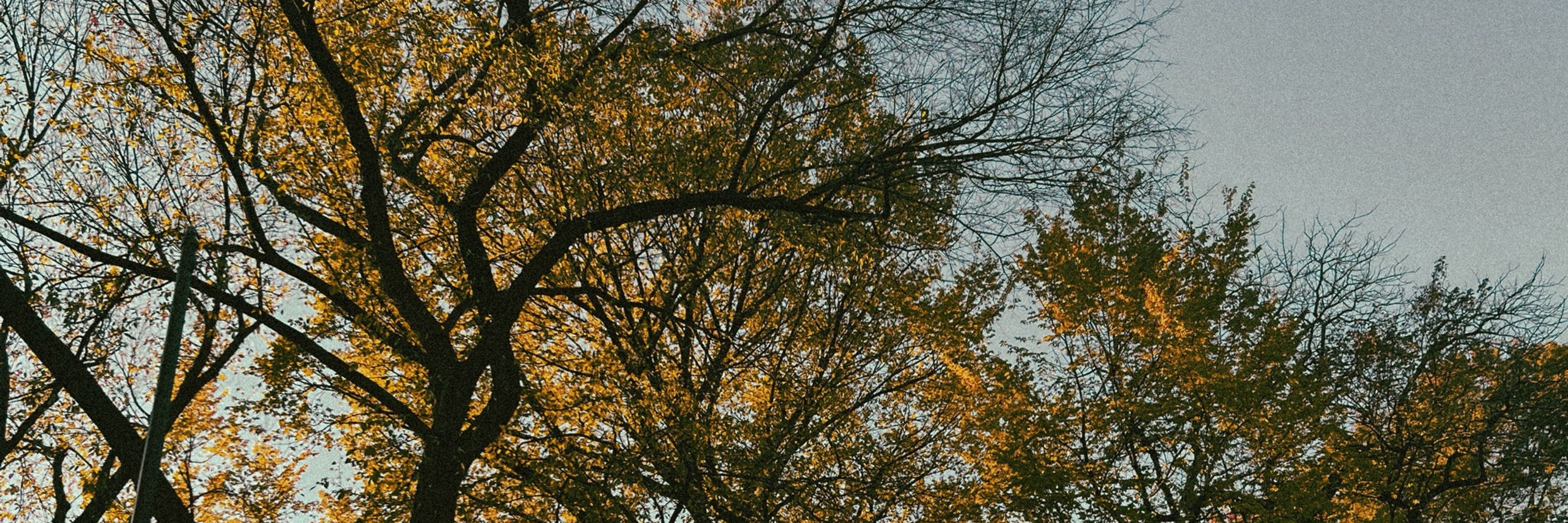 aero 🧡