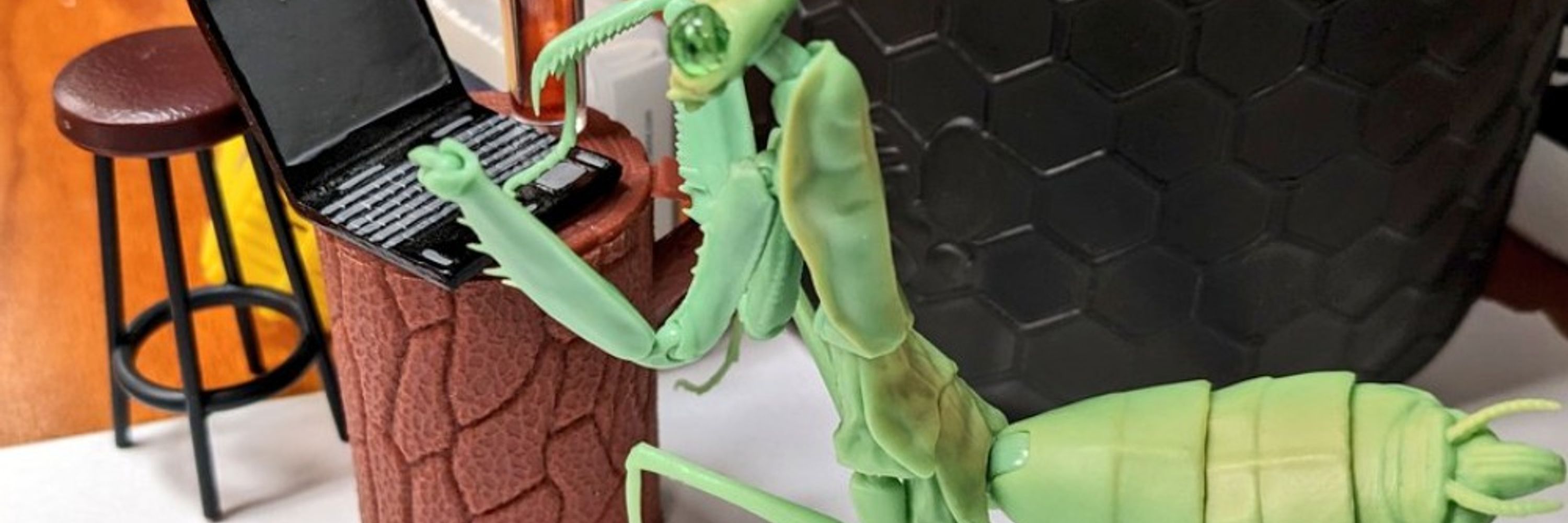 Mr. "Master" Escher A. Bug